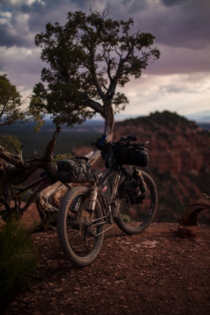 Road Trip Safety: Staying Secure on Your Journey